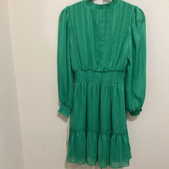 NWT Nanette by Nanette Lepore Shadow Stripe Long Sleeve Smocked Dress in Green. - Picture 3 of 9
